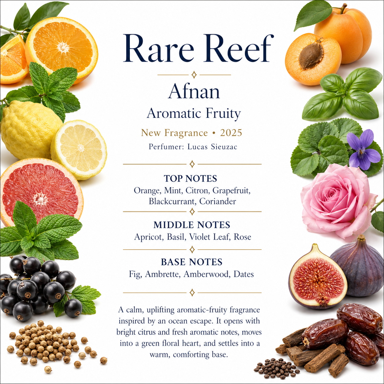 Afnan Rare Reef 100ml
