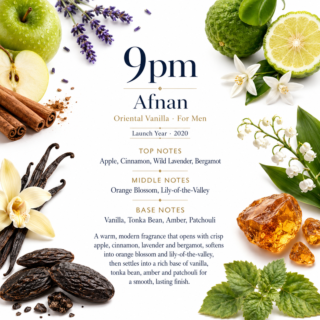Afnan 9pm 100ml