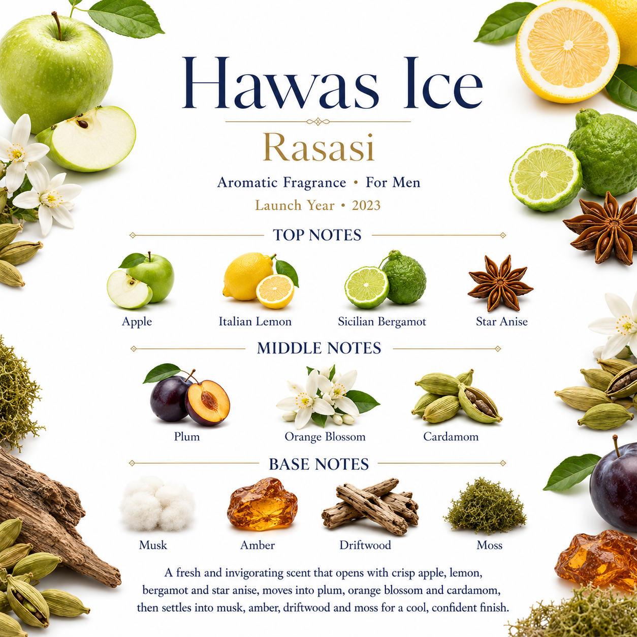 Rasasi Hawas Ice 100ml