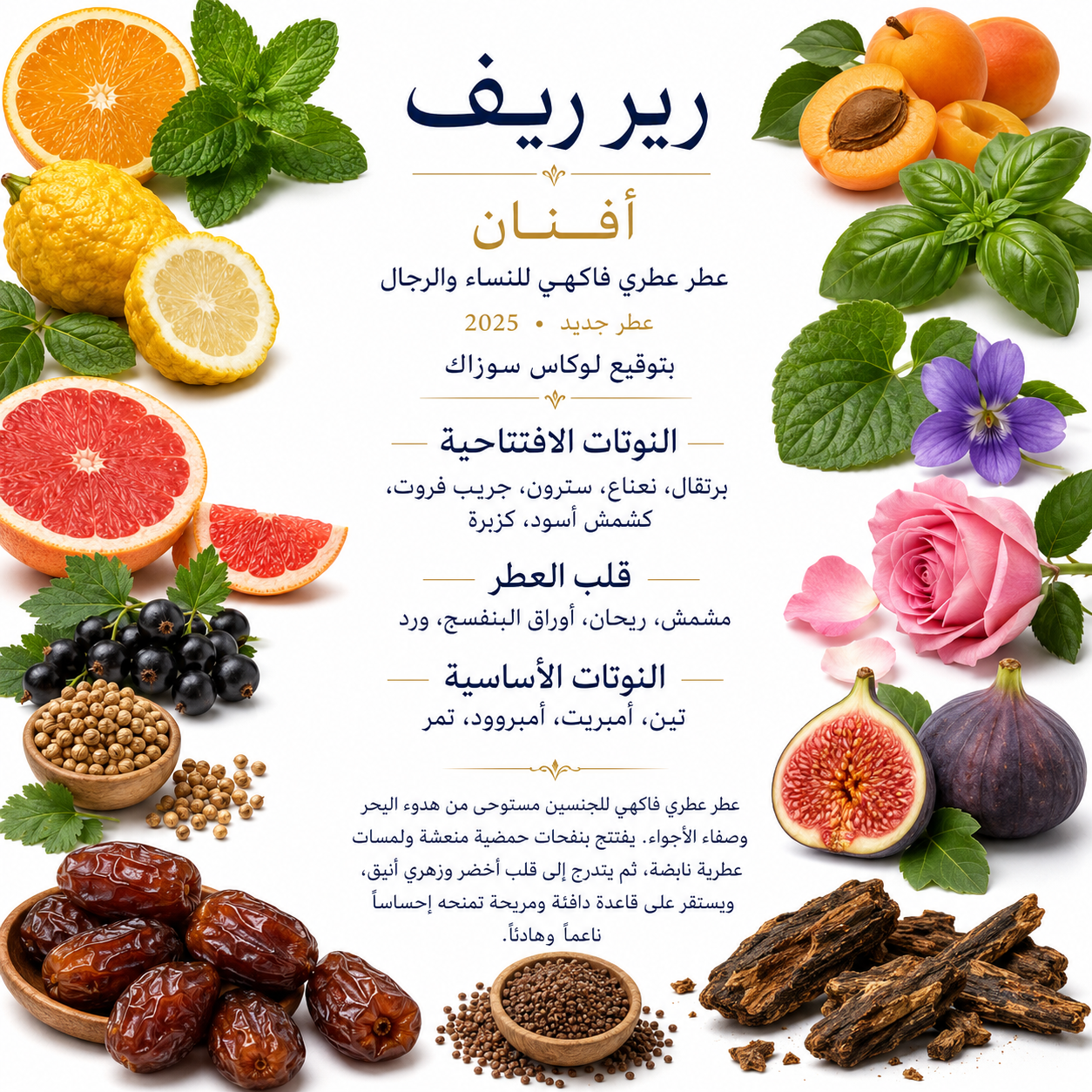 Afnan Rare Reef 100ml