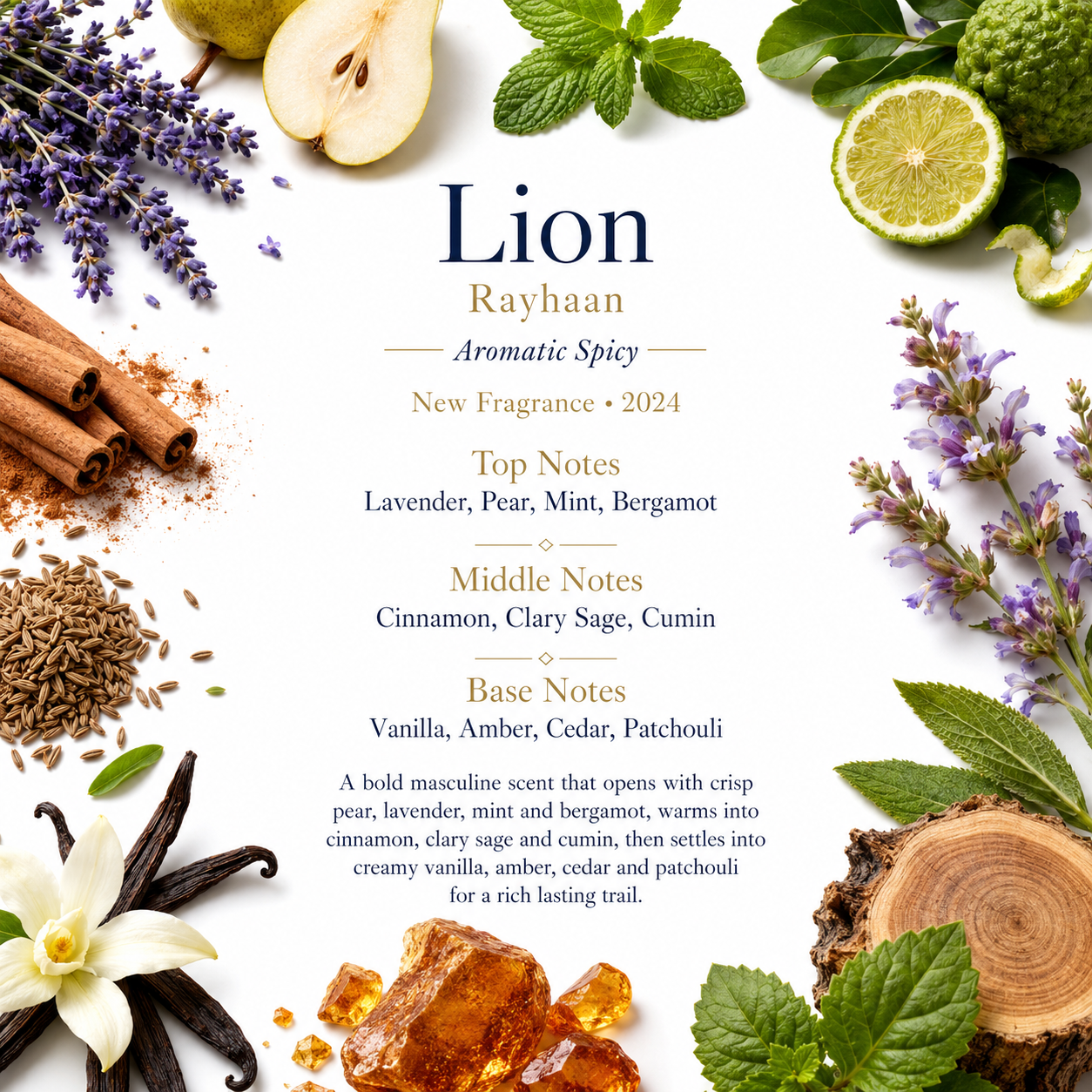Rayhaan Lion 100ml