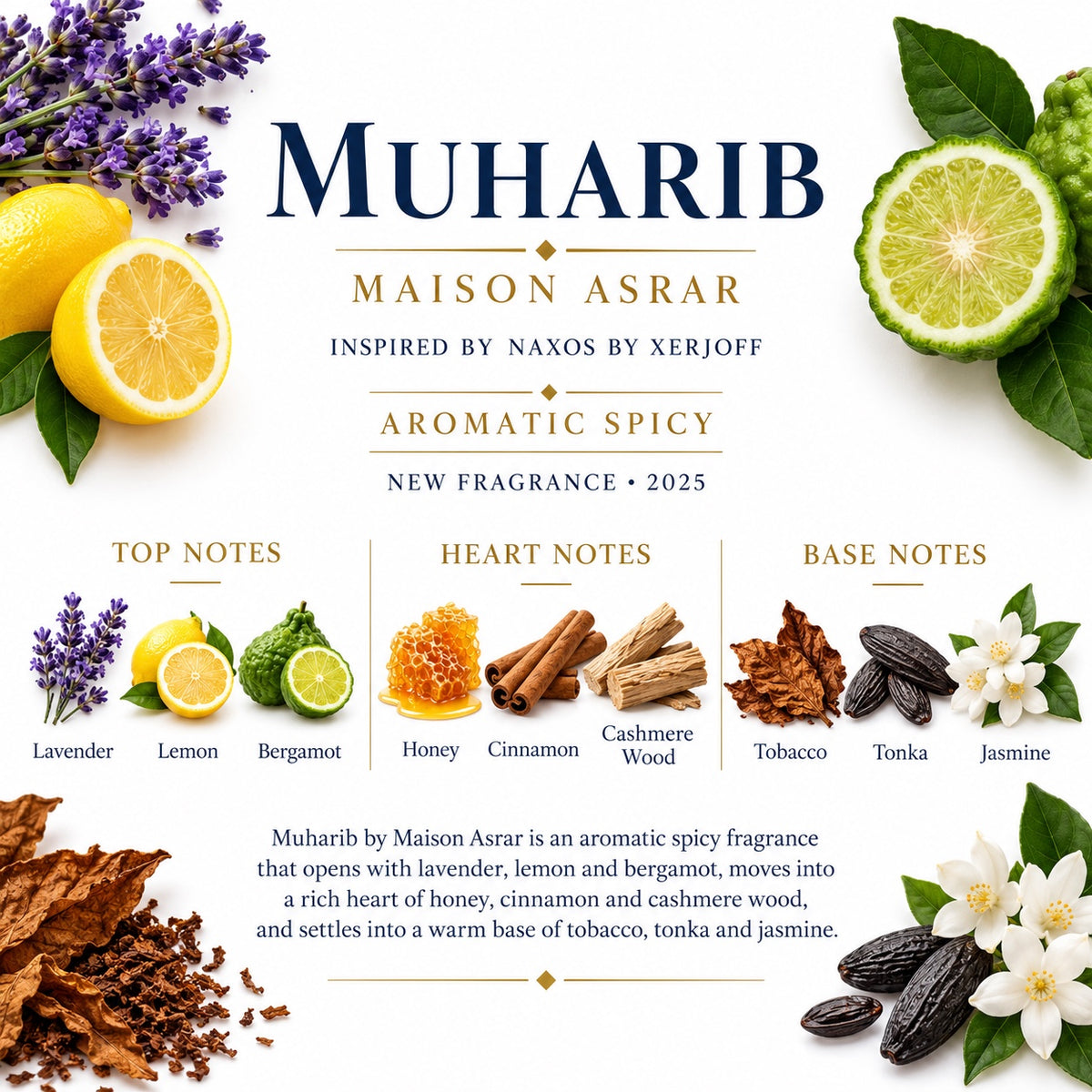 Maison Asrar Muharib fragrance notes - lavender lemon bergamot honey cinnamon cashmere tobacco tonka jasmine