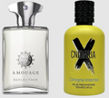 Samam Cnidaria X Cologne Intensa 100ml